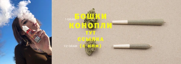 соль ск Лагань