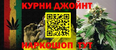 гидра Кандалакша